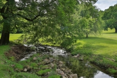 Aquinas College Campus