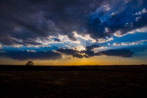 sunrise